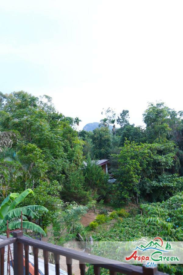 Aspa Green Ella Bagian luar foto